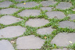 block cement walkway with green grass in garden.