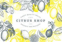 Lemon Tree Frame Template. Hand Drawn Vector Fruit Illustration. Engraved Style Banner. Vintage Citrus Design.