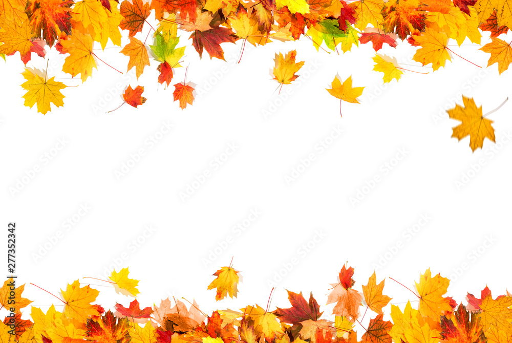 autumn leaves background - obrazy, fototapety, plakaty 