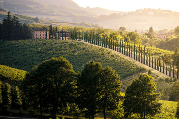 Castelvetro di Modena hills at sunset. Castelvetro, Modena province, Emilia Romagna, Italy