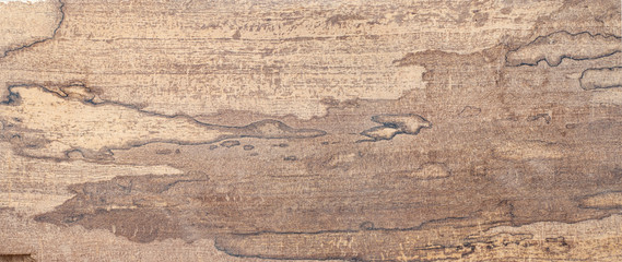 Wall Mural - Nature old wood striped