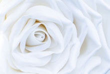 One Huge, Large White Decorative Rose