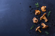 Chanterelle mushrooms on moody dark blue background