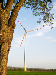 Power energy windmill turbine on a field of wheat