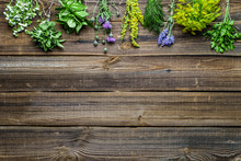 Assorted Herbs From The Garden On Wooden Table. Fresh Herb On Wood.