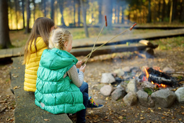 Wall Mural - cute young sisters roasting hotdogs on sticks at bonfire. children having fun at camp fire. camping 