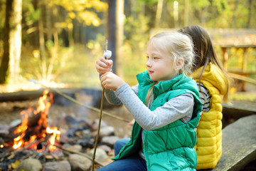 Wall Mural - cute young sisters roasting marshmallows on stick at bonfire. children having fun at camp fire. camp