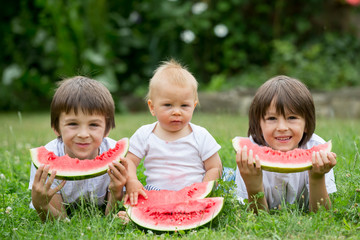 Wall Mural - Cute children, toddler boy and brothers, eating watermelon in garden