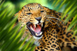 Leopard portrait in jungle