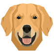 Vector illustration of the dog's head Golden Retriever Isolated object