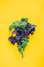 Flat Lay Fresh Green And Purple Kale On A Yellow Background, Copy Space