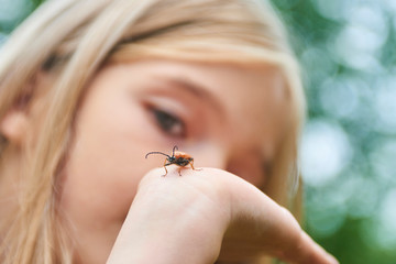 Wall Mural - Child girl examining a beetle on her hand