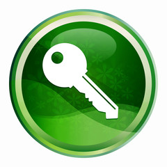 Wall Mural - Key icon Natural Green Round Button