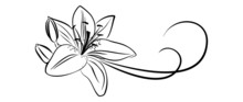 Simbol Of Lily Flower
