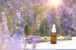 Essential lavender oil in the bottle with dropper on the table in lavender field. Horizontal close-up.
