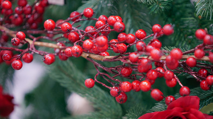 Poster - Decorative branch with red berries. 4k Video 3840x2160