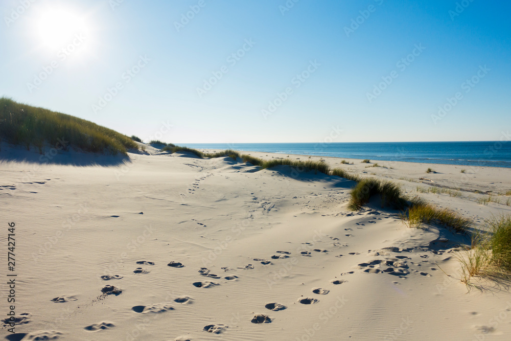 Czołpino wydma wydmy morze bałtyckie bałtyk piasek plaża - obrazy, fototapety, plakaty 