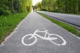 Bicycle road sign on asphalt. Ciąg pieszo-rowerowy.