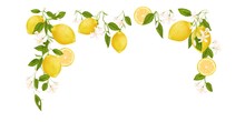 Yellow Citrus Fruit Frame. Lemon, Leaves And Flowers. Tropical Clip Art Illustration