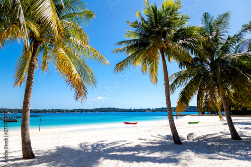 Plage Naturelle De Thaïlande Avec Palmiers Et Cocotiers
