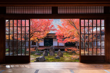 京都　建仁寺の紅葉