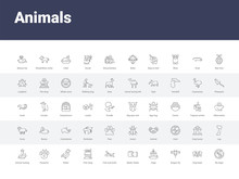 50 Animals Set Icons Such As No Dogs, Dog Head, Dragon Fly, Cage, Medic Folder, Fish And Knife, Fish Shop, Robin, Pawprint. Simple Modern Vector Icons Can Be Use For Web Mobile