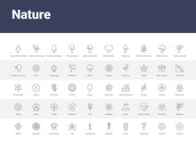50 Nature Set Icons Such As Jasmine, Jonquil, Knapweed, Larch, Lavender, Lemongrass, Lily, Lotus Flower, Magnolia. Simple Modern Vector Icons Can Be Use For Web Mobile