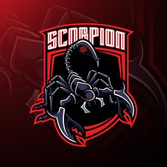 Wall Mural - Scorpion sport mascot logo design