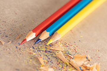 Wooden. Shavings. Draw. Pencil. Color. School. Art