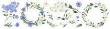 Botanical Collection Of Wildflowers: Blue Cornflowers, Forget-me-nots, Flowers, White Daisies, Leaves, Twigs, Buds. Flower Frame, Wreath. Watercolor.
