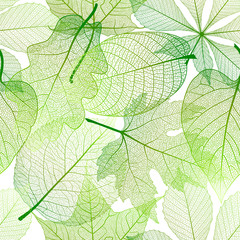 Wall Mural - Seamless pattern with leaves. Vector illustration.