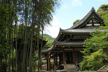 日本の寺院　毘沙門山妙法寺(神戸市須磨区)本堂と竹林