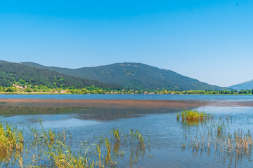 Sticker - Lake View in Natural Forest