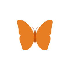 Wall Mural - butterfly. butterfly vector icon. butterfly isolated in flat design