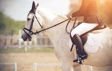 The Rider, Illuminated By Sunlight, Riding A White Spotted Horse Performs At Dressage Competitions On A Summer Day