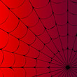 Cobweb on red background