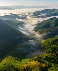 Wall Mural - landscape nature view at morning on the mountain fog chiang rai Thailand