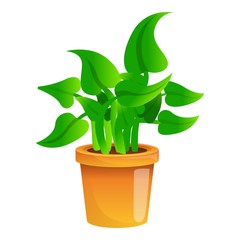 Poster - Botany houseplant icon. Cartoon of botany houseplant vector icon for web design isolated on white background