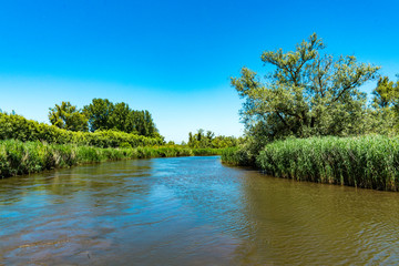 Creek in National park Hollands Biesbosch in Drimmelen. River Amer,  The Netherlands