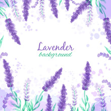 Lavender Background With Flowers. Watercolor Imitation Design With Paint Splashes Vector Illustration Provence Style. Drawing For Greeting Cards, Invitations