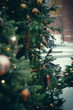 Christmas balls on the green festive tree closeup