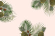 Summer minimal banner copyspace. Green palm leaves on the pastel background with pineapple and kiwi. Top view fruits flatlay