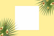 Summer holiday card copyspace. Fruit flatlay top view with paper on the yellow background. Kiwi, avocado and palm leaves