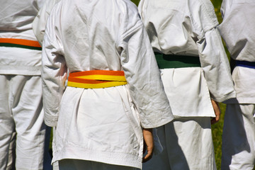 back view of a group of four kids practicing exercises of karate on the grass. The children wear typical karate uniform with different belts showing different levels of knowledge. Horizontal picture