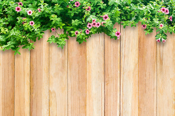 Poster - Wooden background and Ivy leaves with space.