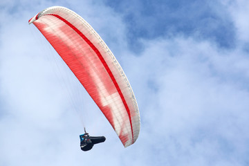 Poster - Red paraglider in a blue sky