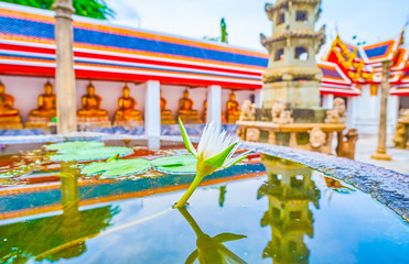 Canvas Print - The white water lily in Wat Pho temple, Bangkok, Thailand