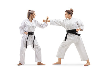 Poster - Two females in kimonos practicing karate