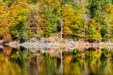 Wall Mural - Great Falls trees reflection in canal lake river during autumn in Maryland colorful yellow orange leaves foliage by famous Billy Goat Trail