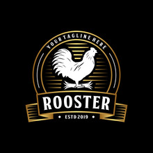 Rooster Vintage Logo Design. Chicken Logo, Emblem Design